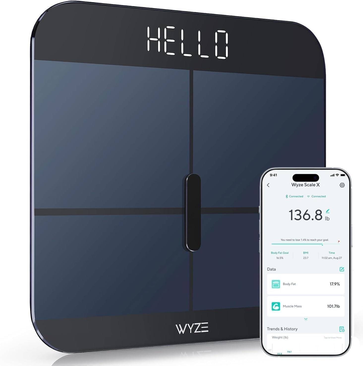 Digital Bathroom Scale for Bod - Baby Products Rating recensione e prezzo